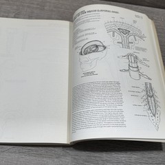 Vintage The Anatomy Coloring Book Kapit Elson Harper & Row Beige PB USA 1977