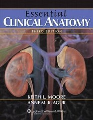 Essential Clinical Anatomy (Point (Lippincott Williams Wilkins)) – GOOD