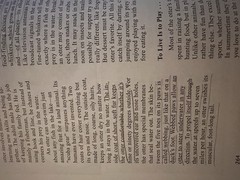BJU Press Reading 5 Student Textbook 2nd Ed Pages In My Head Bob Jones 5th Grade