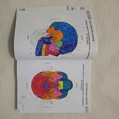 Musculoskeletal Anatomy Coloring Book