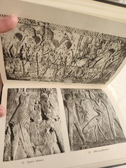 Vintage 1973 Ancient Egyptian Art Cyril Aldred Academy Edition History Textbook