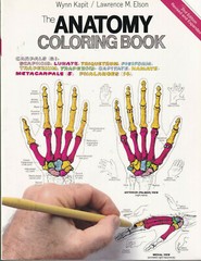 THE ANATOMY COLORING BOOK by Lawrence M. Elson and Wynn Kapit (1997 softcover)