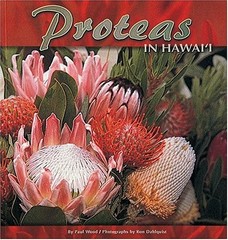 PROTEAS IN HAWAII By Paul Wood & Ron Dahlquist *Excellent Condition*