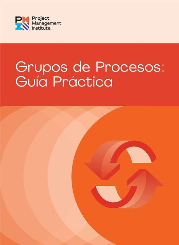 Process Groups: A Practice Guide (SPANISH) by PMI [Paperback] – NO MARKINGS