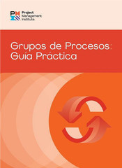 Process Groups: A Practice Guide (SPANISH) by PMI [Paperback] – NO MARKINGS