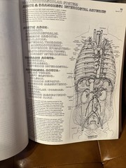 Anatomy Coloring Book by Kapit, Wynn 2nd Edition