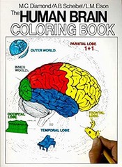 The Human Brain Coloring Book: A Coloring Book – An Interactive Guide to N…