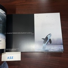 Wyland: One Hundred Whaling Walls (SIGNED)Coffee Table Hardcover Book