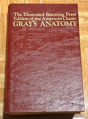Gray’s Anatomy: Anatomy, Descriptive and Surgical 1901 Edition, Running Press
