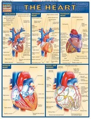 Heart : QuickStudy Laminated Reference Guide Vincent Perez
