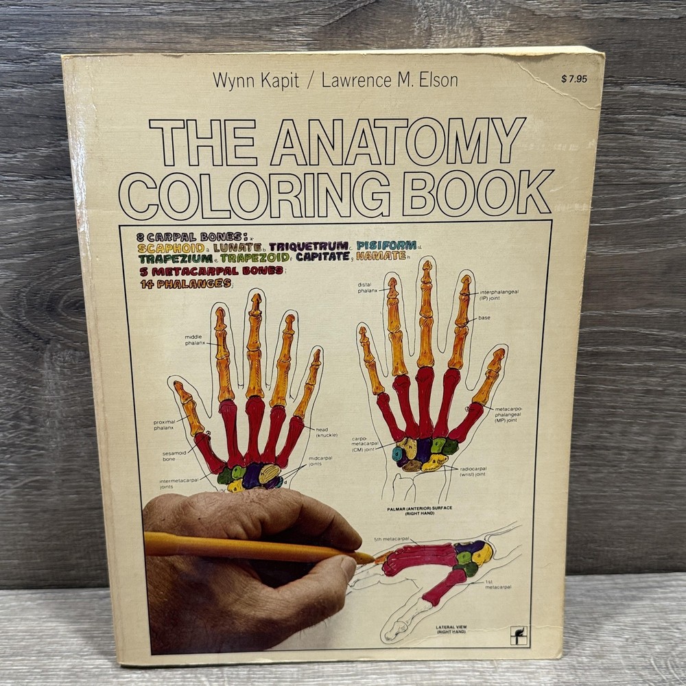 Vintage The Anatomy Coloring Book Kapit Elson Harper & Row Beige PB USA 1977