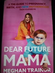 Dear Future Mama: A TMI Guide to Pregnancy, Birth, and Motherhood from Your Best